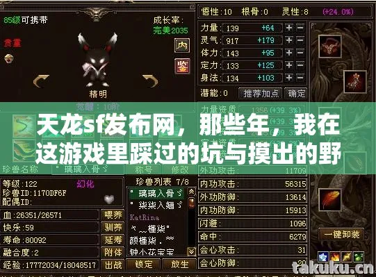 天龙sf发布网，那些年，我在这游戏里踩过的坑与摸出的野路子天龙私服