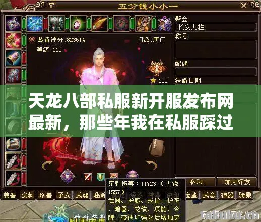 那些年我在私服踩过的坑与摸出的野路子天龙八部私服图片