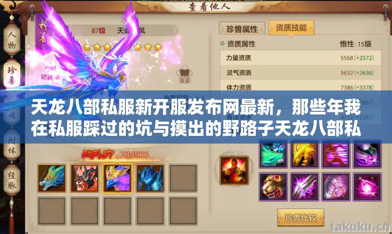 天龙八部私服新开服发布网最新,那些年我在私服踩过的坑与摸出的野路子天龙八部私服 天龙八部私服新开服发布网最新,那些年我在私服踩过的坑与摸出的野路子天龙八部私服