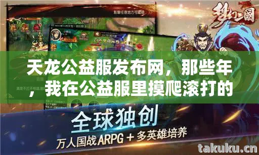 我在公益服里摸爬滚打的日子天龙私服图片