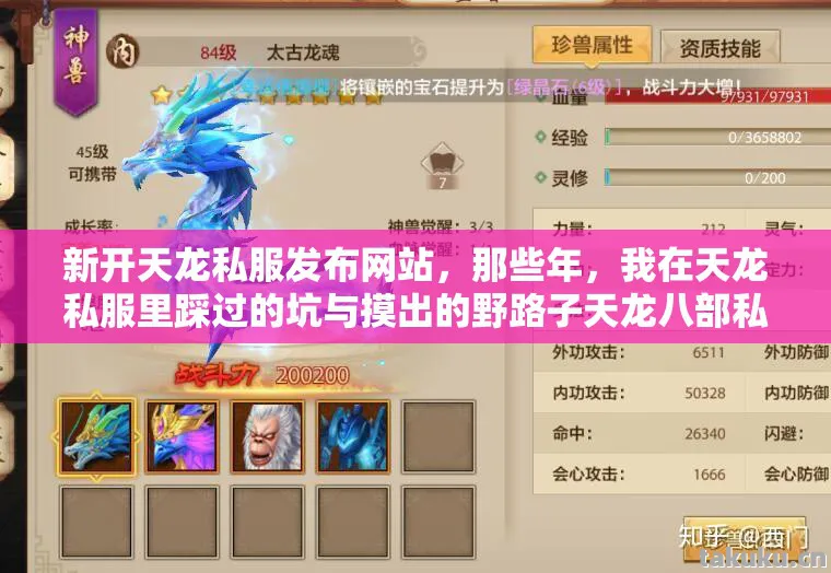 新开天龙私服发布网站,那些年,我在天龙私服里踩过的坑与摸出的野路子天龙八部私服 新开天龙私服发布网站,那些年,我在天龙私服里踩过的坑与摸出的野路子天龙八部私服