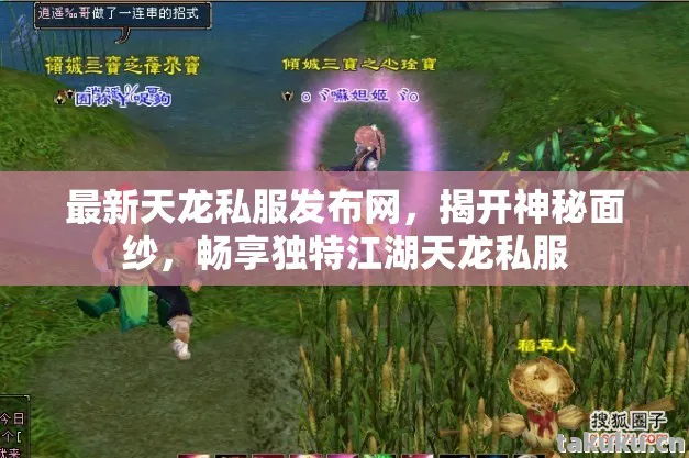 畅享独特江湖天龙私服图片