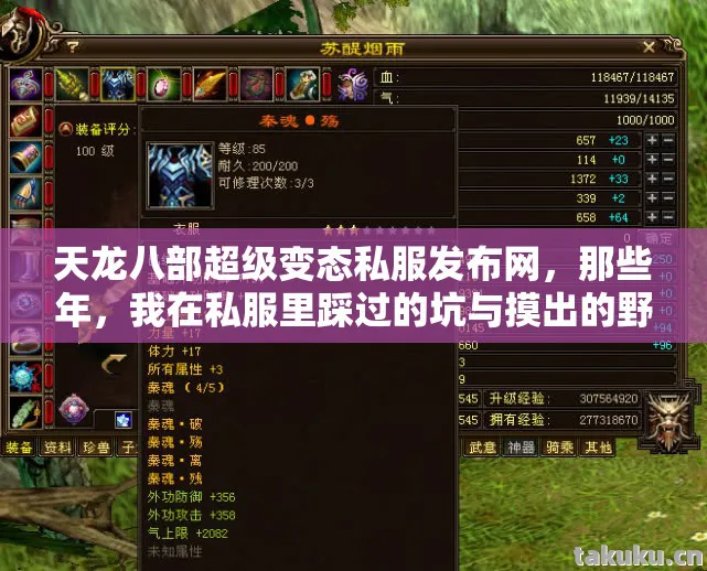 我在私服里踩过的坑与摸出的野路子天龙私服图片