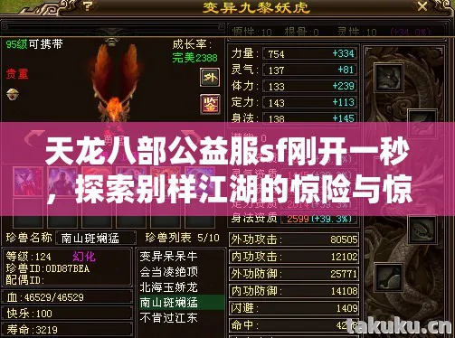 探索别样江湖的惊险与惊喜天龙私服图片