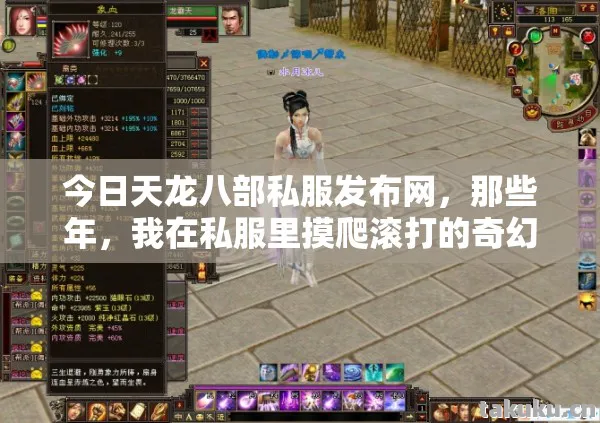我在私服里摸爬滚打的奇幻之旅天龙八部私服图片