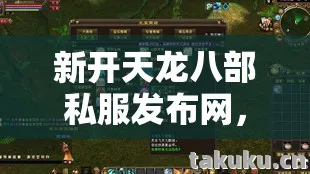 新开天龙八部私服发布网，那些年我在私服里踩过的坑与摸出的野路子天龙八部私服
