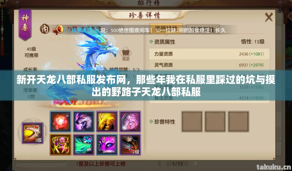 那些年我在私服里踩过的坑与摸出的野路子天龙八部私服图片