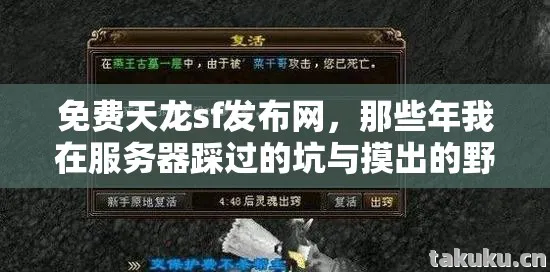 那些年我在服务器踩过的坑与摸出的野路子天龙私服图片