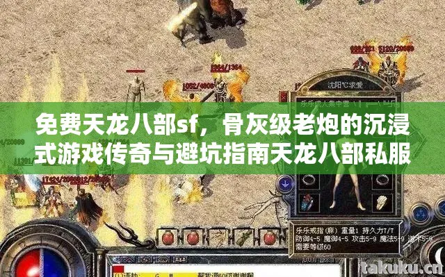 骨灰级老炮的沉浸式游戏传奇与避坑指南天龙八部私服图片