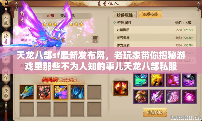 老玩家带你揭秘游戏里那些不为人知的事儿天龙八部私服图片