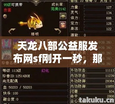 那些年在游戏里踩过的坑与摸出的野路子天龙八部私服图片