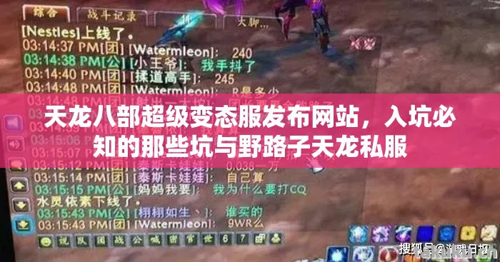 入坑必知的那些坑与野路子天龙私服图片