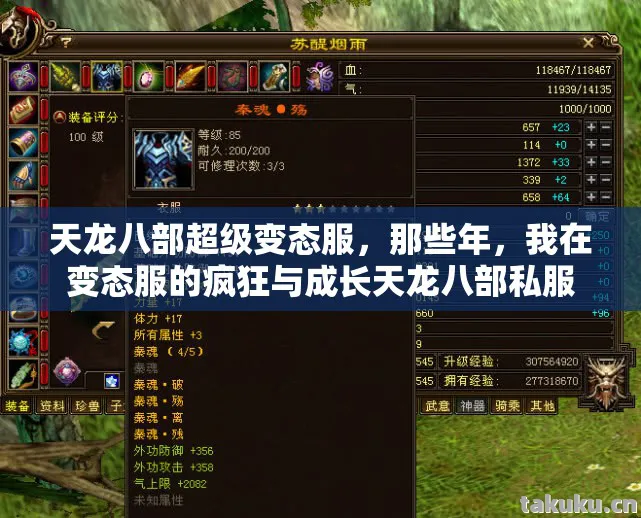 我在变态服的疯狂与成长天龙八部私服图片