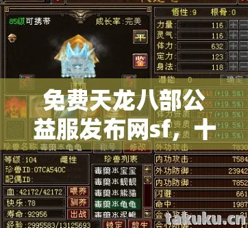 十年情怀与青春回忆交织的实测认证指南天龙私服图片