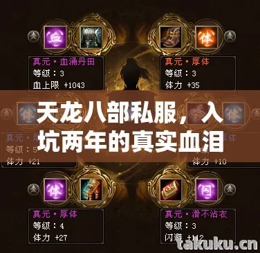 入坑两年的真实血泪史与野路子分享天龙八部私服图片