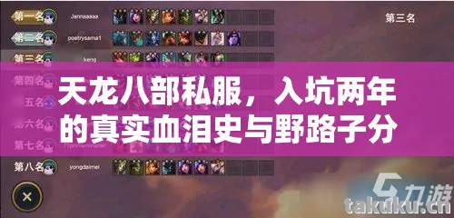 天龙八部私服，入坑两年的真实血泪史与野路子分享天龙八部私服