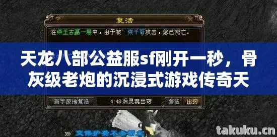骨灰级老炮的沉浸式游戏传奇天龙私服图片