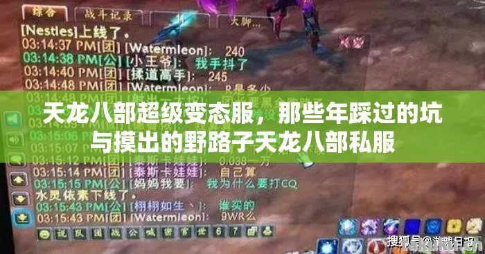 那些年踩过的坑与摸出的野路子天龙八部私服图片