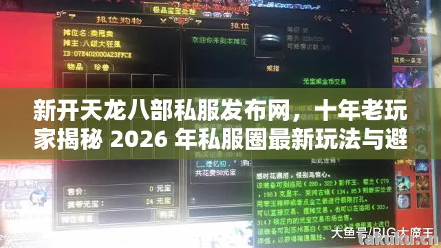新开天龙八部私服发布网，十年老玩家揭秘 2026 年私服圈最新玩法与避坑指南天龙八部私服