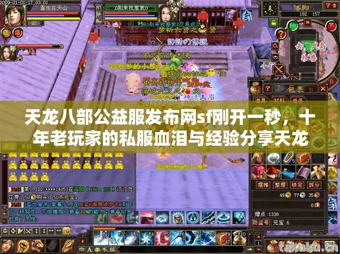 十年老玩家的私服血泪与经验分享天龙八部私服图片