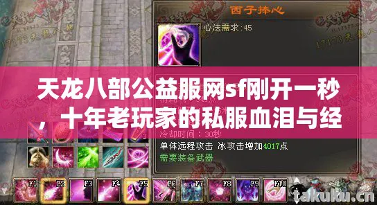 十年老玩家的私服血泪与经验分享天龙私服图片