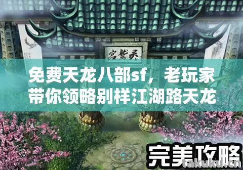 免费天龙八部sf，老玩家带你领略别样江湖路天龙八部私服