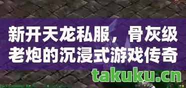新开天龙私服,骨灰级老炮的沉浸式游戏传奇天龙私服 新开天龙私服,骨灰级老炮的沉浸式游戏传奇天龙私服
