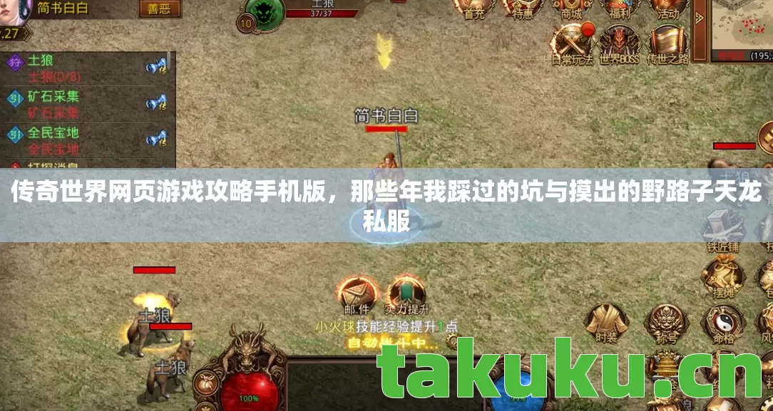 传奇世界网页游戏攻略手机版,那些年我踩过的坑与摸出的野路子天龙私服 传奇世界网页游戏攻略手机版,那些年我踩过的坑与摸出的野路子天龙私服