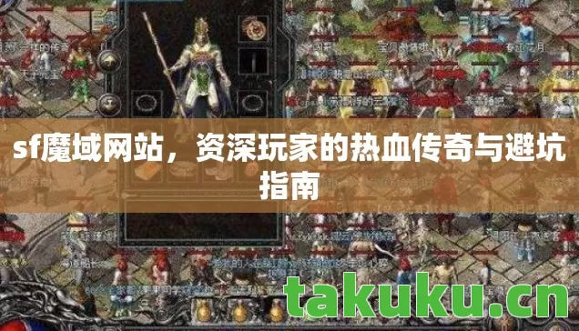资深玩家的热血传奇与避坑指南图片