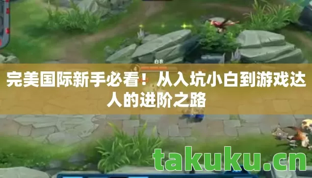 从入坑小白到游戏达人的进阶之路图片