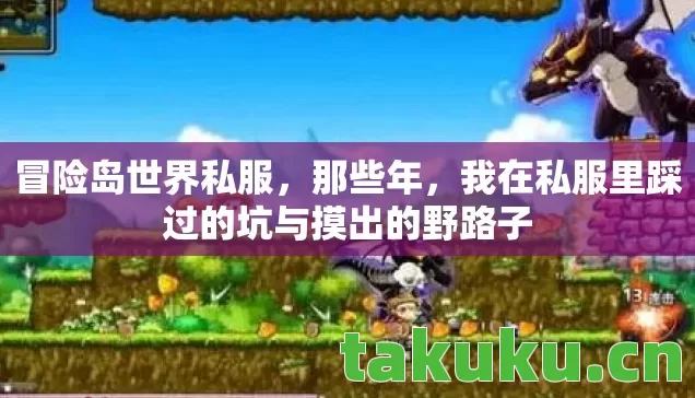 我在私服里踩过的坑与摸出的野路子图片
