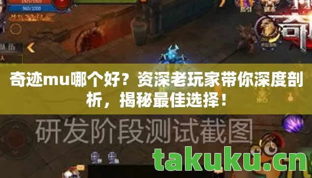 资深老玩家带你深度剖析图片