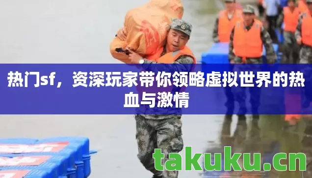 资深玩家带你领略虚拟世界的热血与激情图片