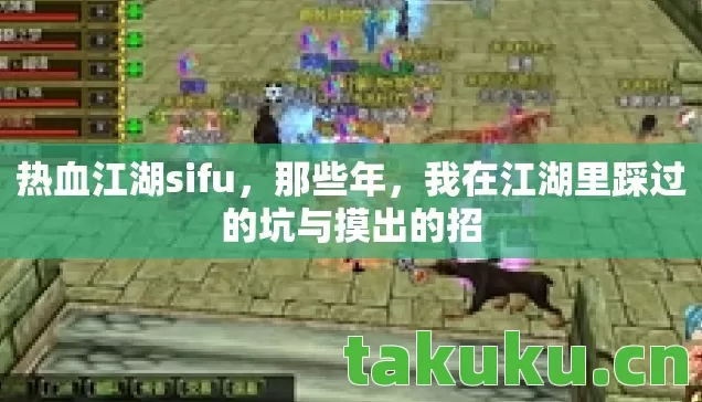 我在江湖里踩过的坑与摸出的招图片