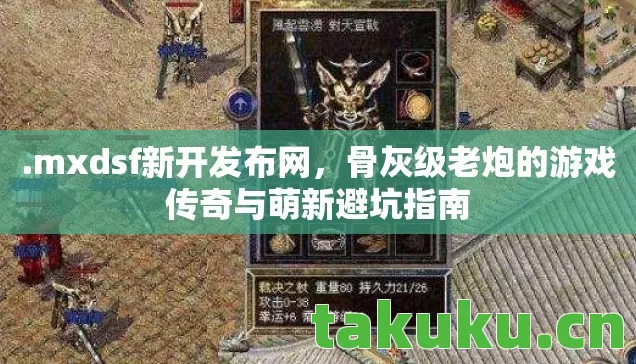 骨灰级老炮的游戏传奇与萌新避坑指南图片