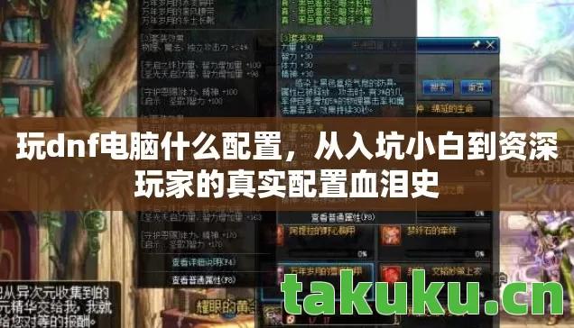 从入坑小白到资深玩家的真实配置血泪史图片