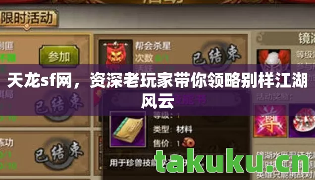天龙sf网,资深老玩家带你领略别样江湖风云 天龙sf网,资深老玩家带你领略别样江湖风云