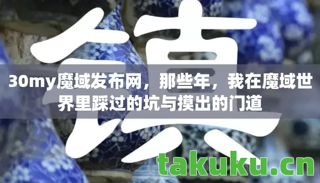 我在魔域世界里踩过的坑与摸出的门道图片