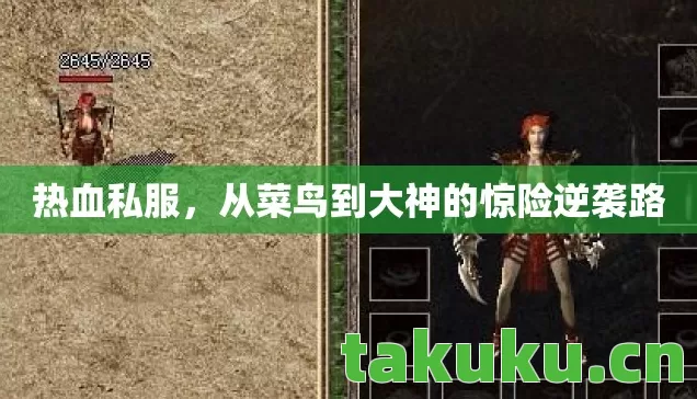 从菜鸟到大神的惊险逆袭路图片