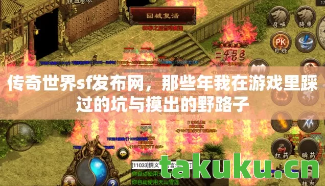 传奇世界sf发布网，那些年我在游戏里踩过的坑与摸出的野路子