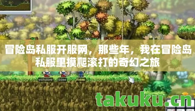 冒险岛私服开服网,那些年,我在冒险岛私服里摸爬滚打的奇幻之旅 冒险岛私服开服网,那些年,我在冒险岛私服里摸爬滚打的奇幻之旅