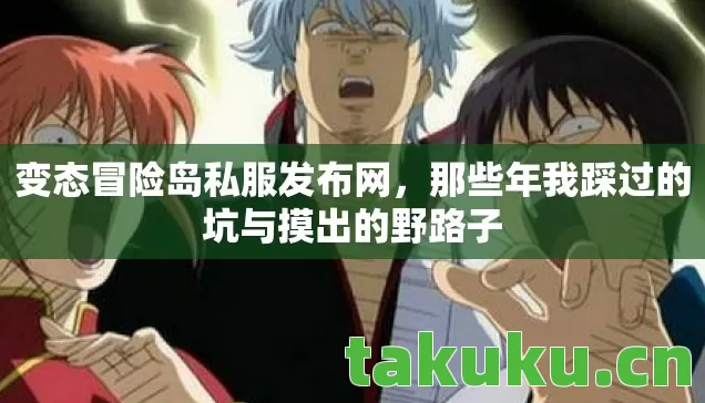 那些年我踩过的坑与摸出的野路子图片