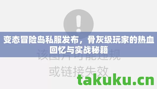 骨灰级玩家的热血回忆与实战秘籍图片