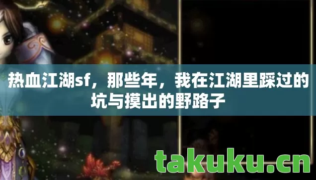 我在江湖里踩过的坑与摸出的野路子图片