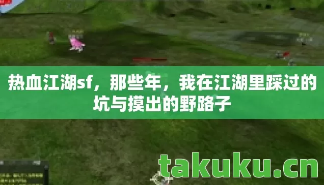 我在江湖里踩过的坑与摸出的野路子图片