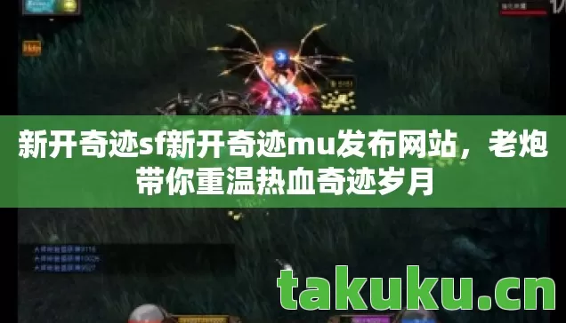 新开奇迹sf新开奇迹mu发布网站图片