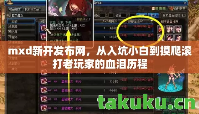 从入坑小白到摸爬滚打老玩家的血泪历程图片