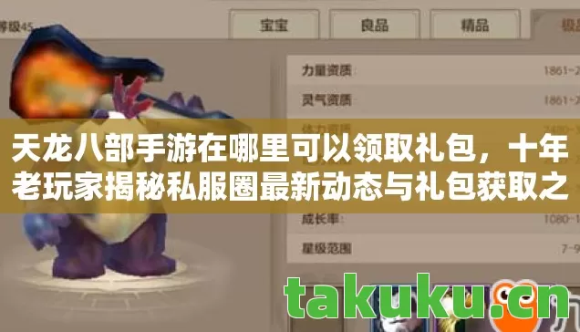 十年老玩家揭秘私服圈最新动态与礼包获取之道图片