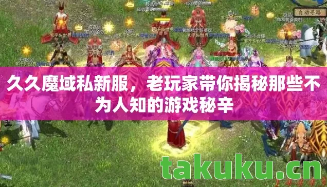 老玩家带你揭秘那些不为人知的游戏秘辛图片