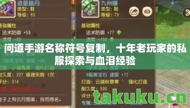 十年老玩家的私服探索与血泪经验图片
